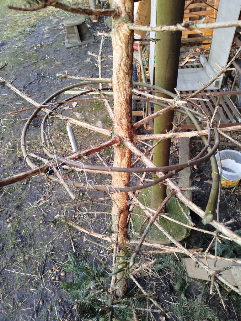 ausgedienter Weihnachtsbaum
